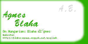 agnes blaha business card